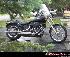 HARLEY SOFTAIL